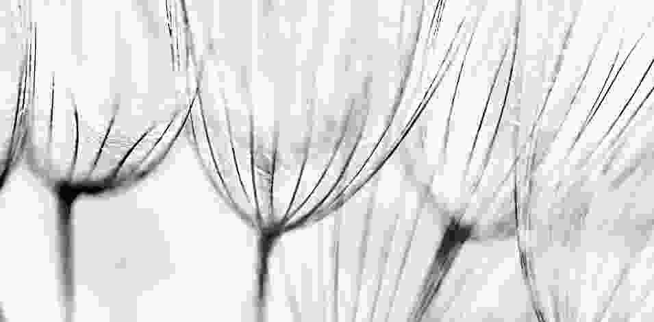 blog-img13 blog-img13